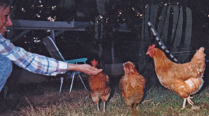 Christine,Rhonda,Honey,Ralphy